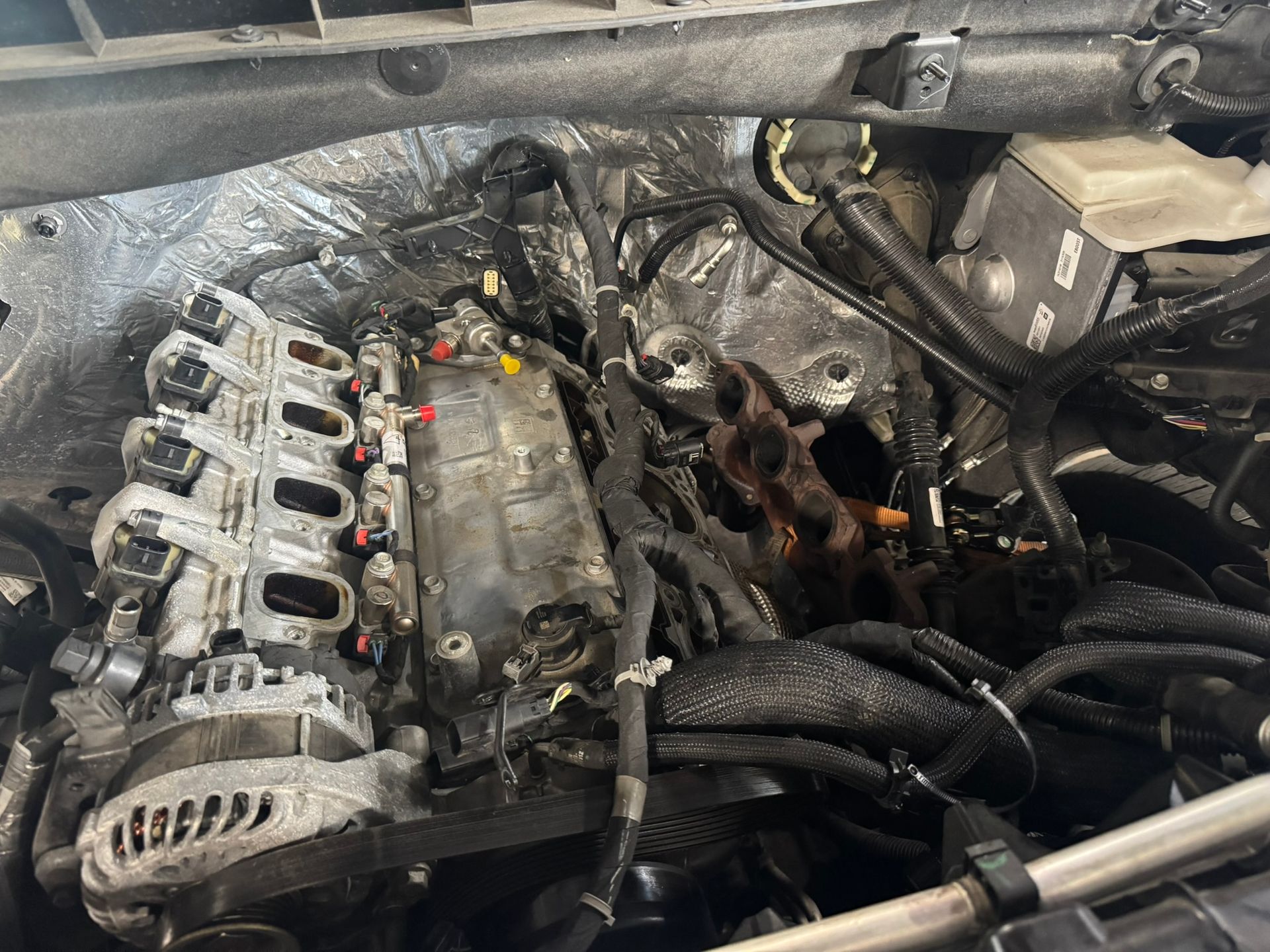 Engine bay with exposed engine components, hoses, and wiring.