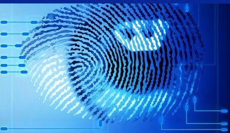 forensic investigation