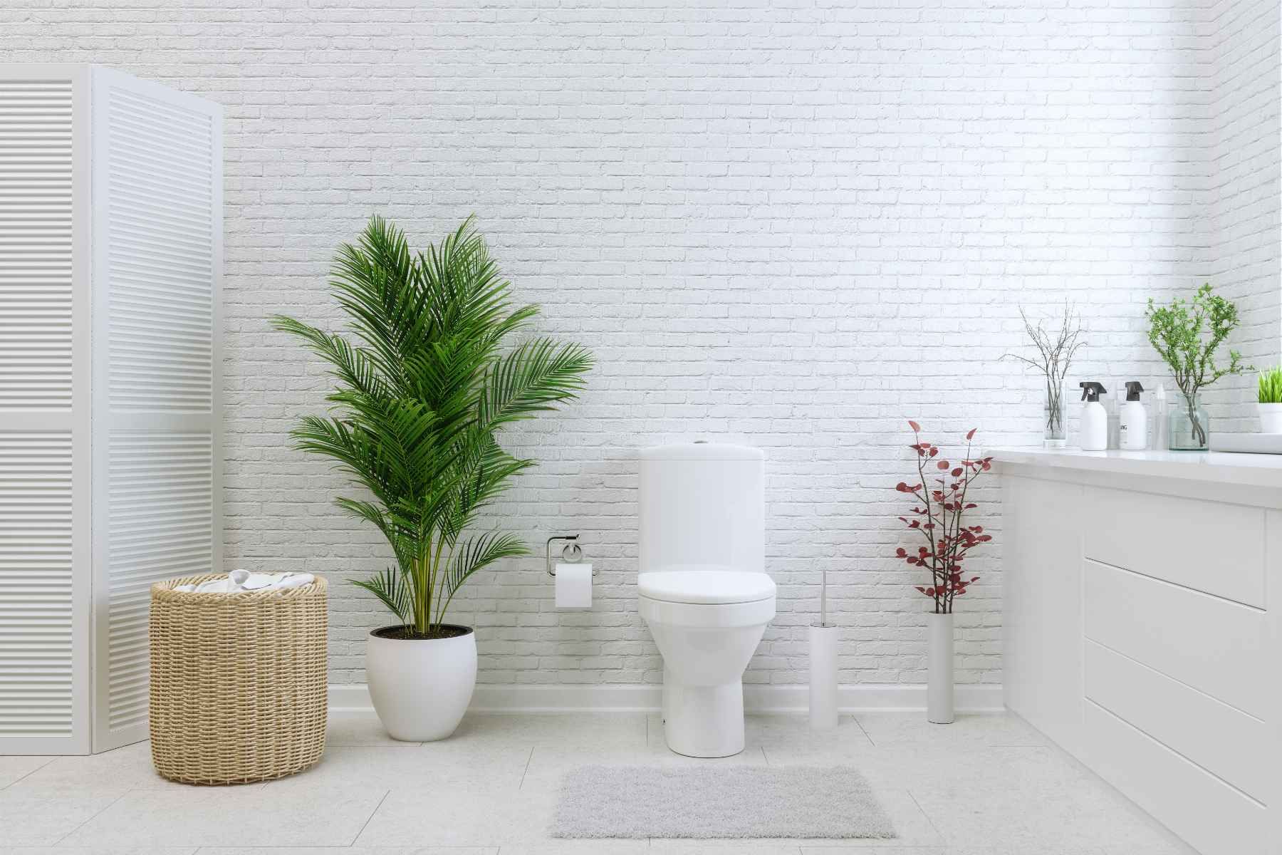 bathroom toilet