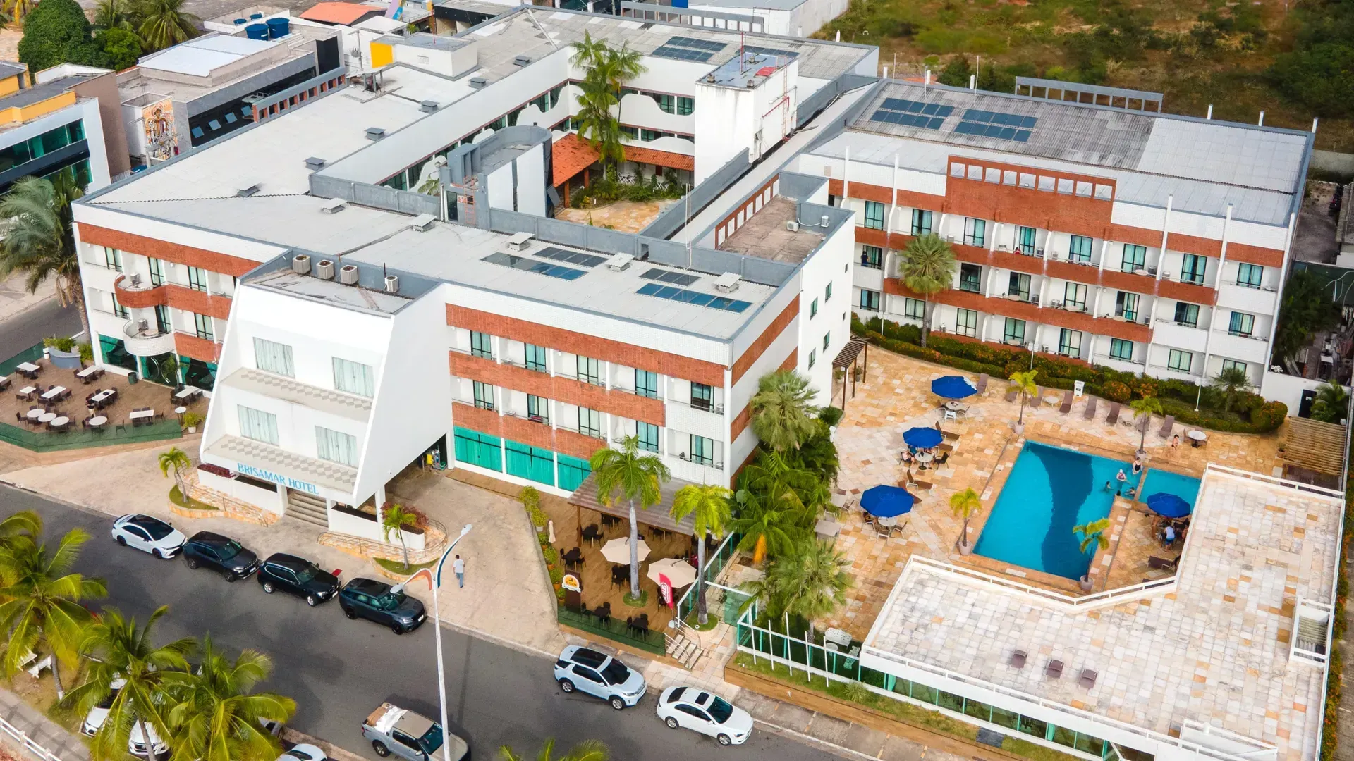 Um fundo azul com uma sombra de palmeira