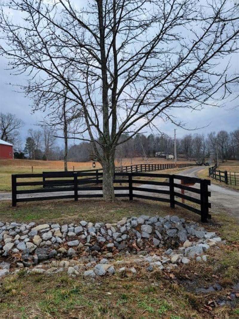 A black fence surrounds a tree in a field.