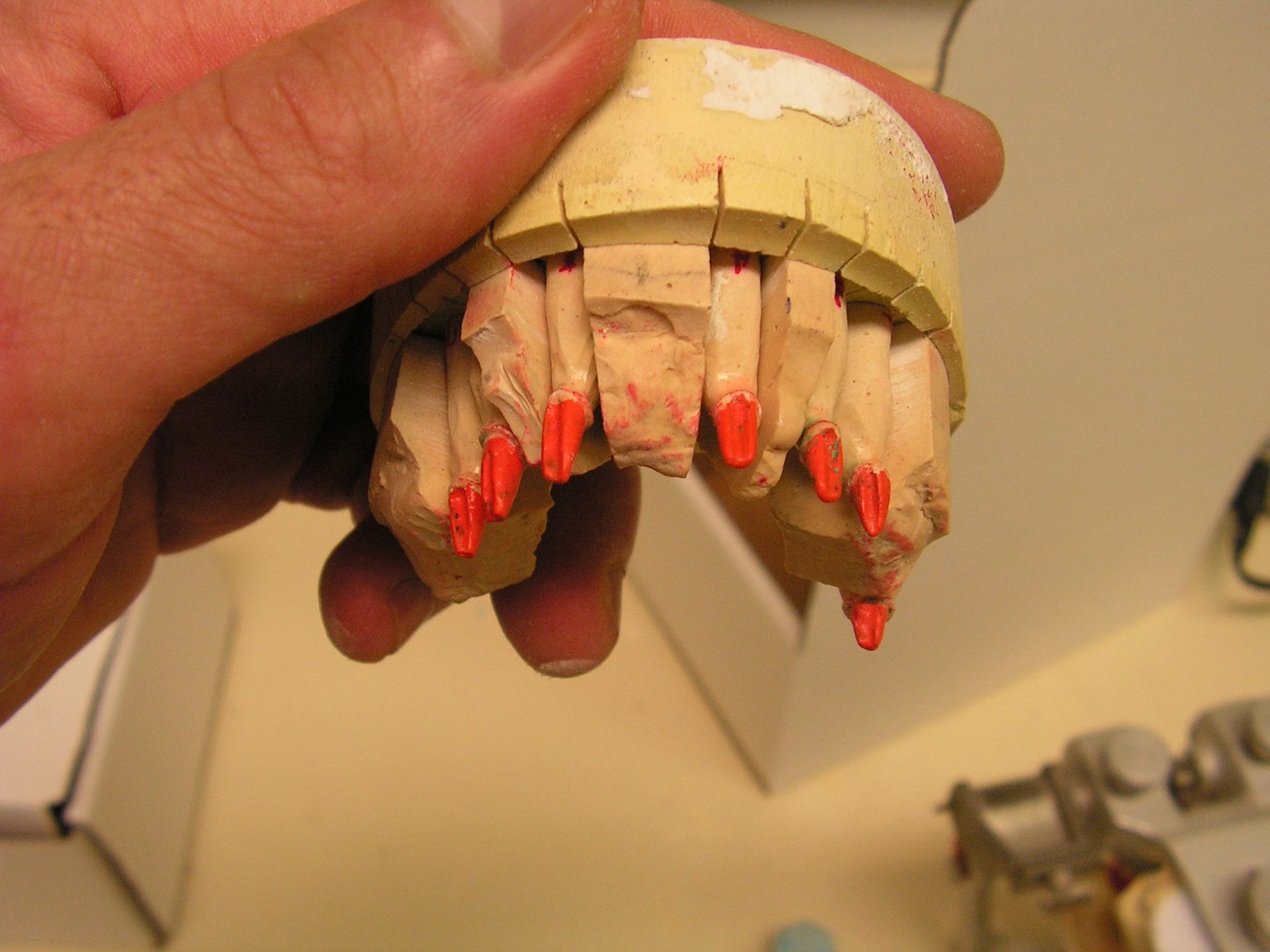 implant dentist 33578, dental implants riveview, top dentist 33578, chris castellano dmd