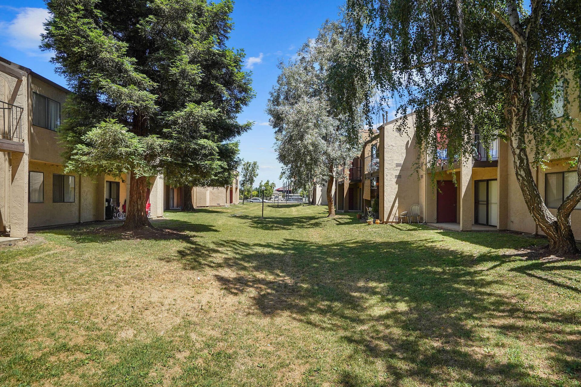 Apartment courtyard with grass, trees, and beige buildings on both sides in bright daylight