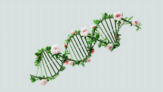 A dna structure with flowers and leaves on a white background.