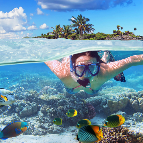 A woman is swimming in the ocean surrounded by fish. We plan any activities you want during incentive trips.