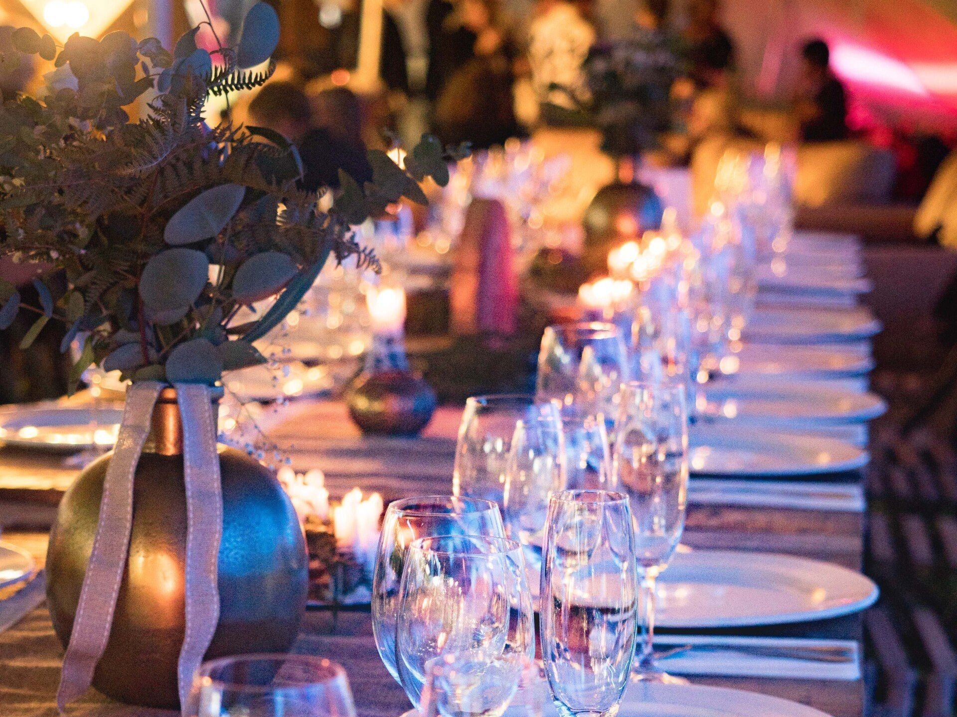 corporate dinner, fundraising gala, awards dinner,