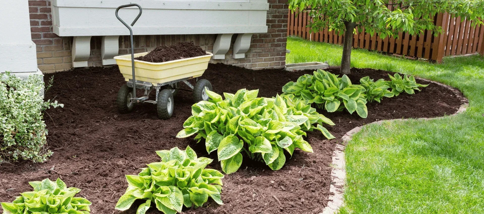 landscape clean up experts in cedar hill mo 