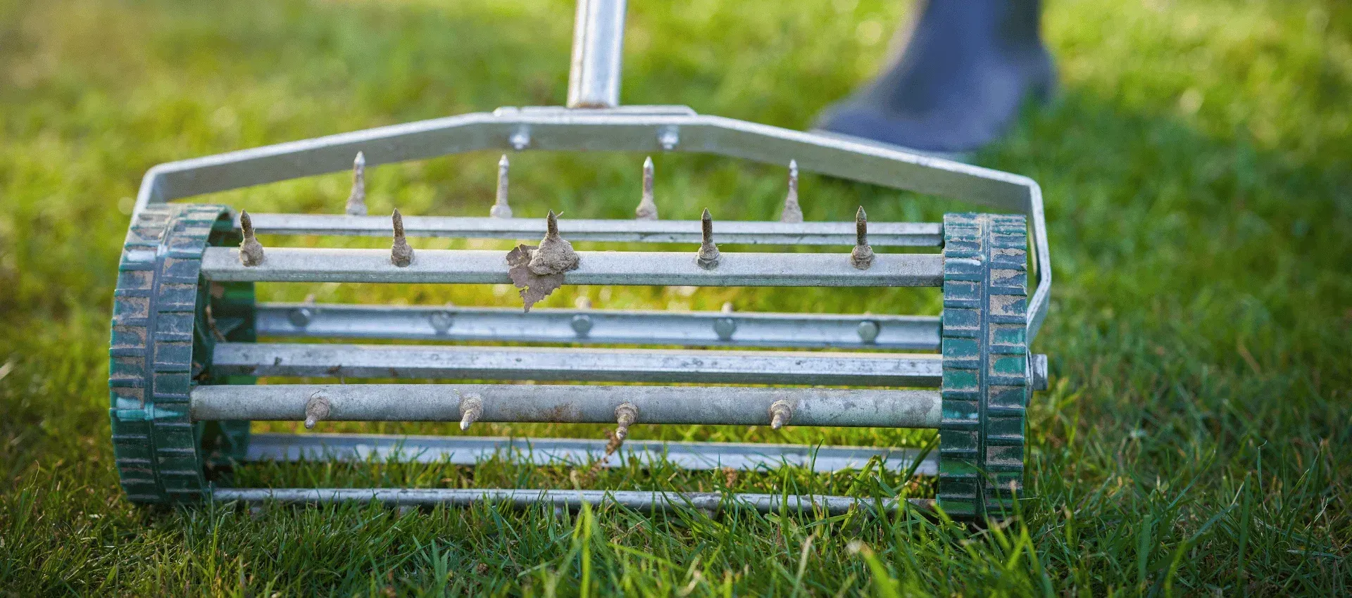 spring fall yard cleanup process cedar hill mo