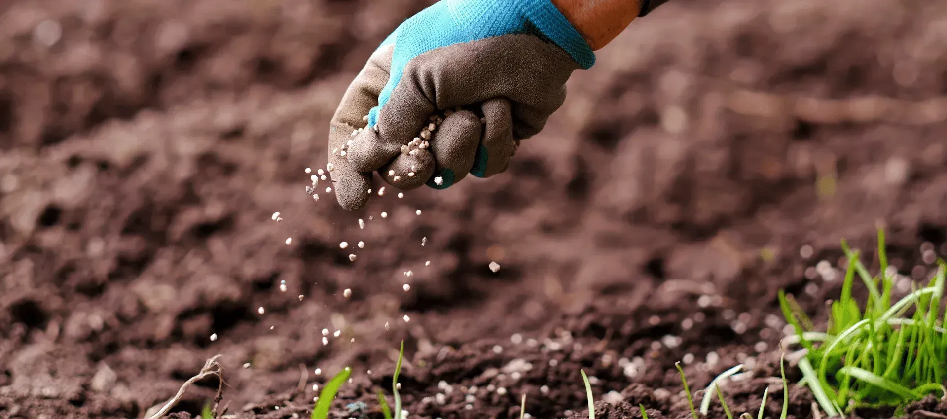 lawn fertilization process cedar hill mo