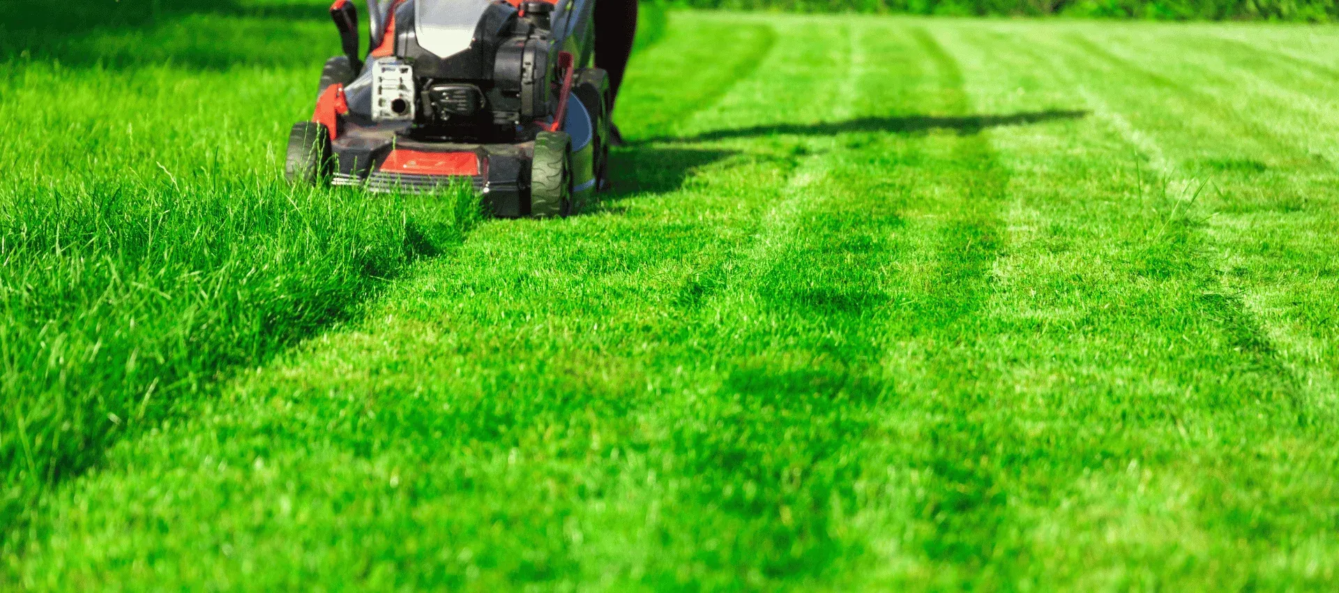 lawn mowing process cedar hill mo