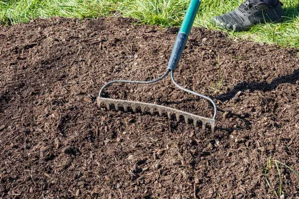 lawn overseeding near me cedar hill mo