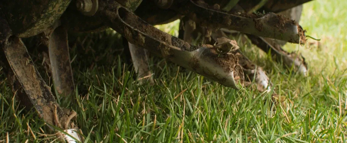 How to Fix a Patchy, Uneven Lawn in St. Louis: Causes, Solutions & When to Call a Pro