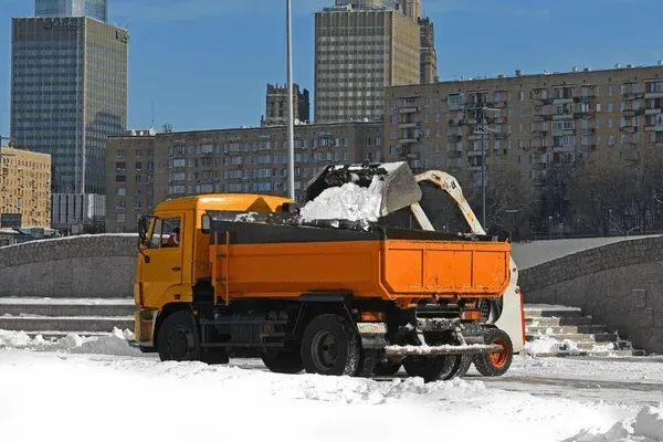 winter snow relocation cedar hill mo