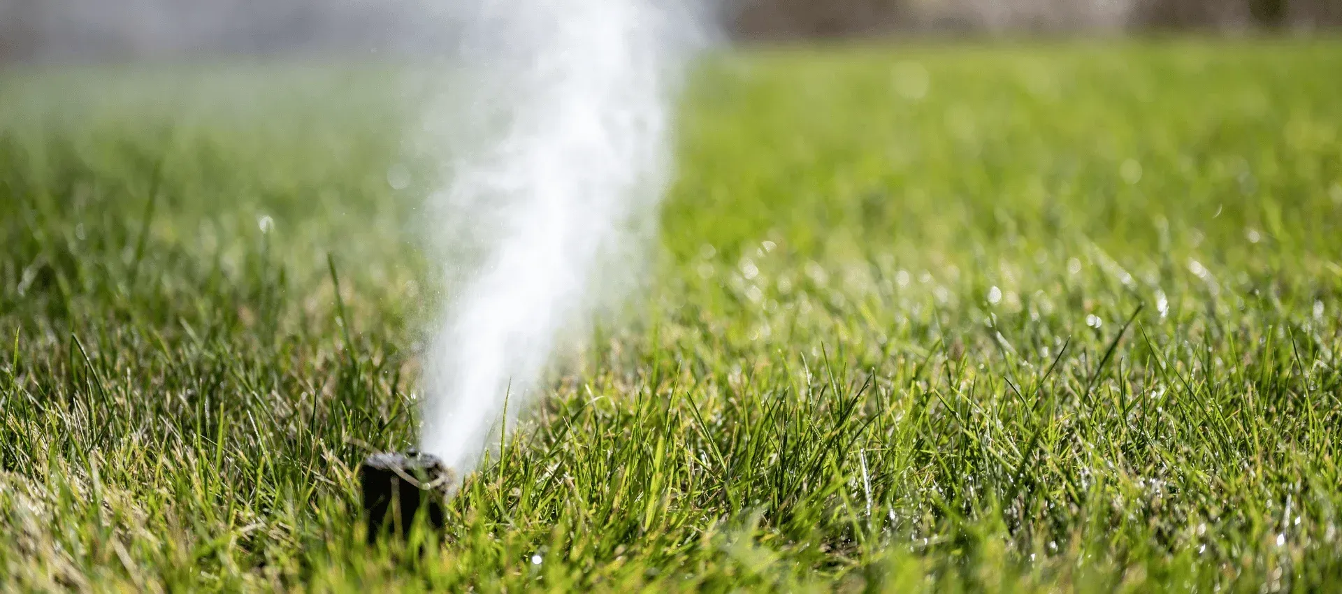 sprinkler winterization inspections in cedar hill mo 