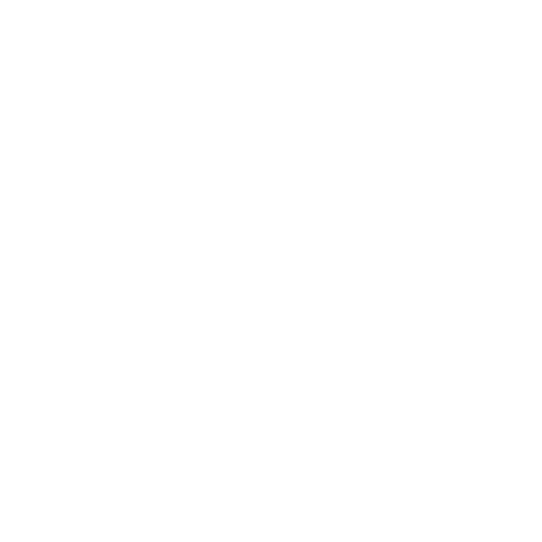 The bolt marketing logo is a white logo on a transparent background.