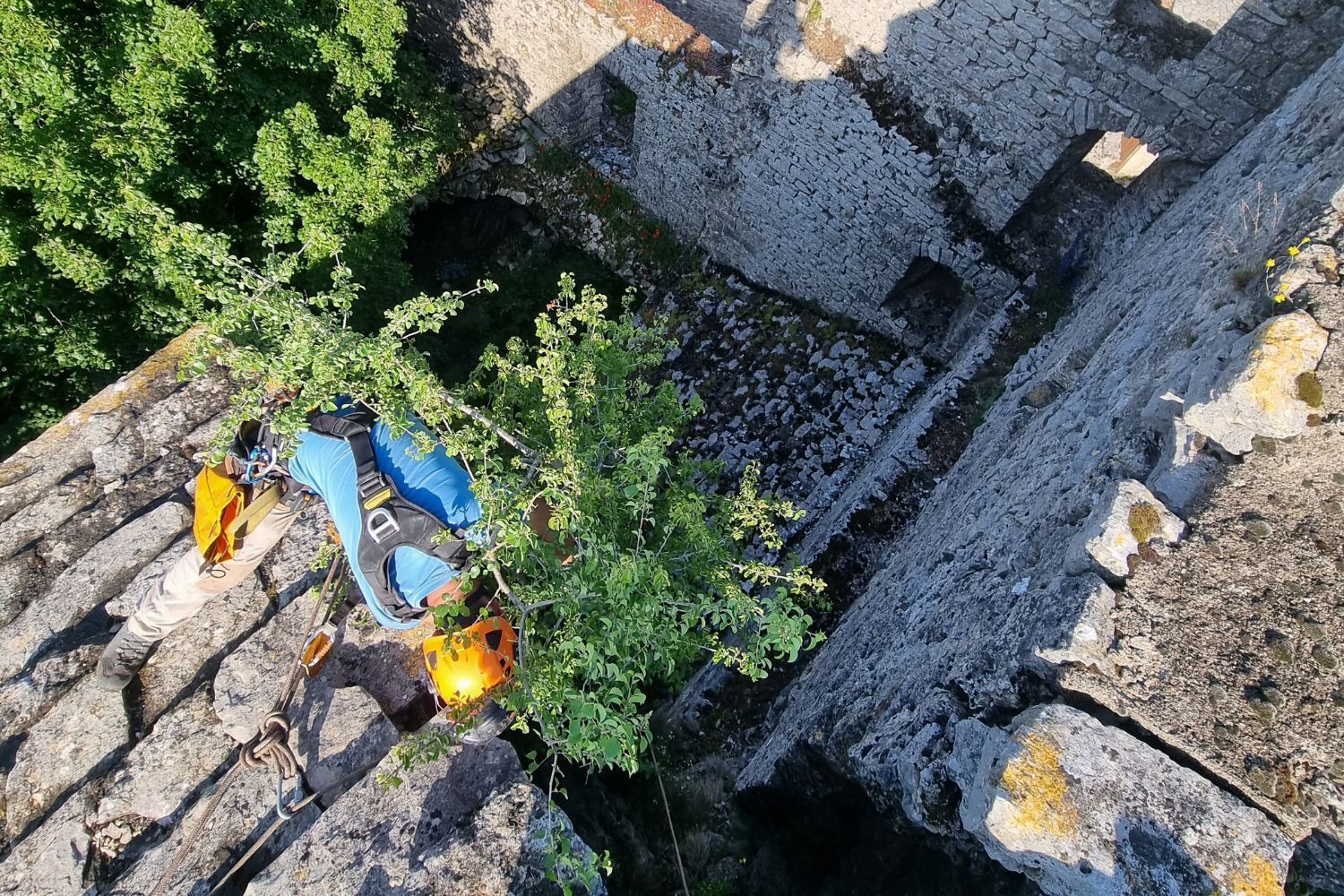 Une vue aérienne d'une personne grimpant à un arbre sur un toit.