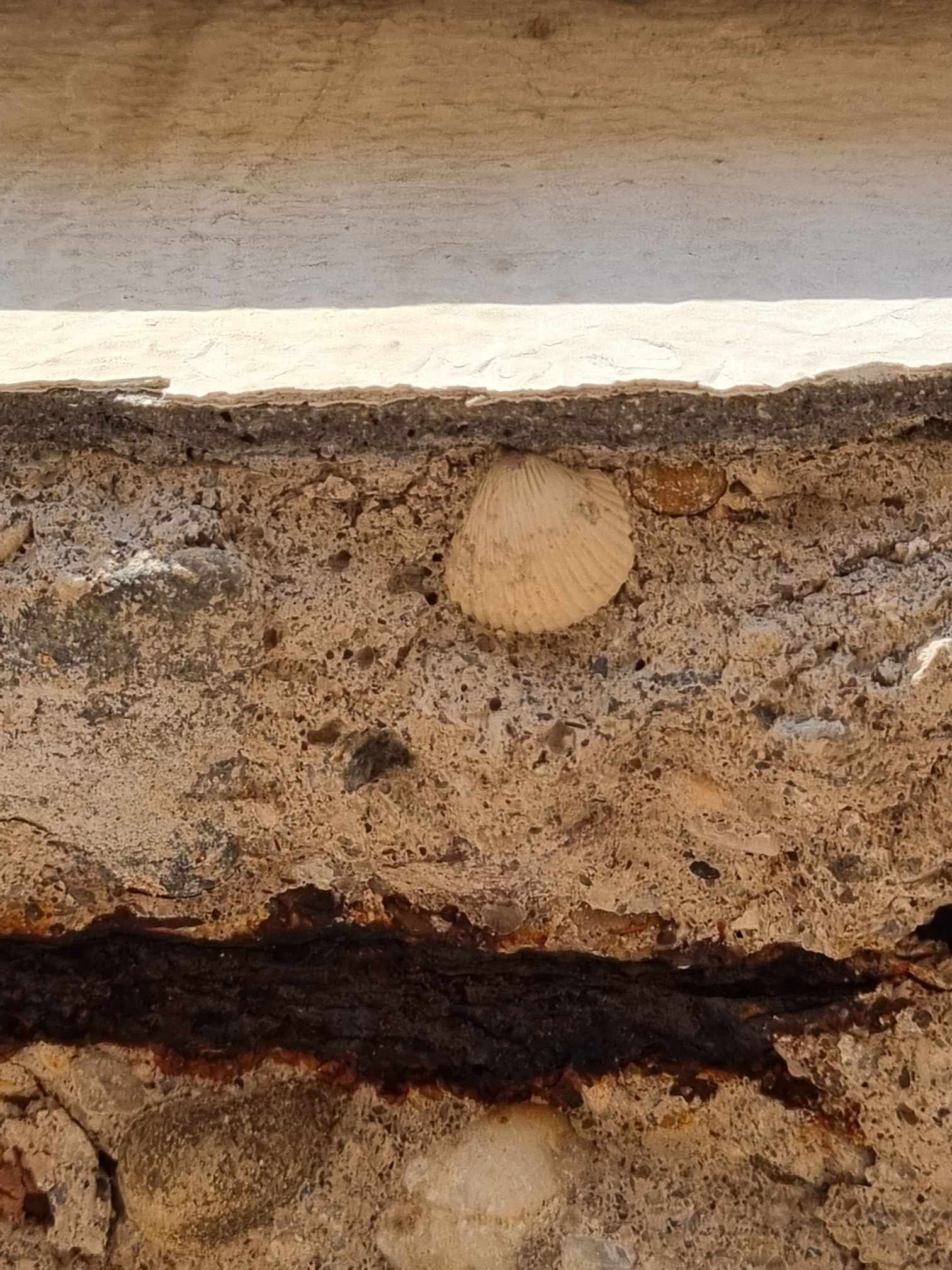 Un gros plan d'un morceau de bois avec un trou dedans.