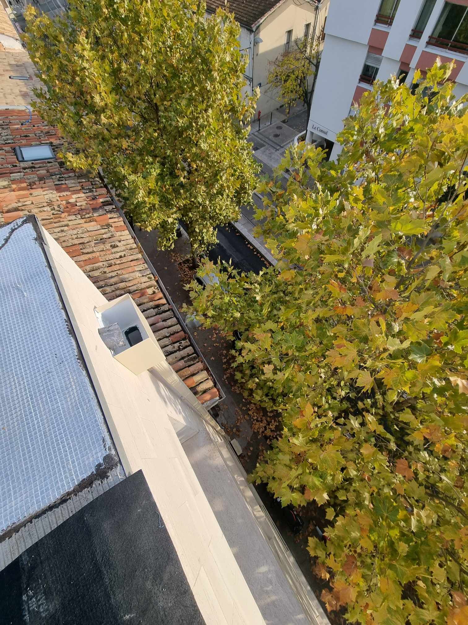 Un arbre pousse sur le côté d'un bâtiment à côté d'un toit.