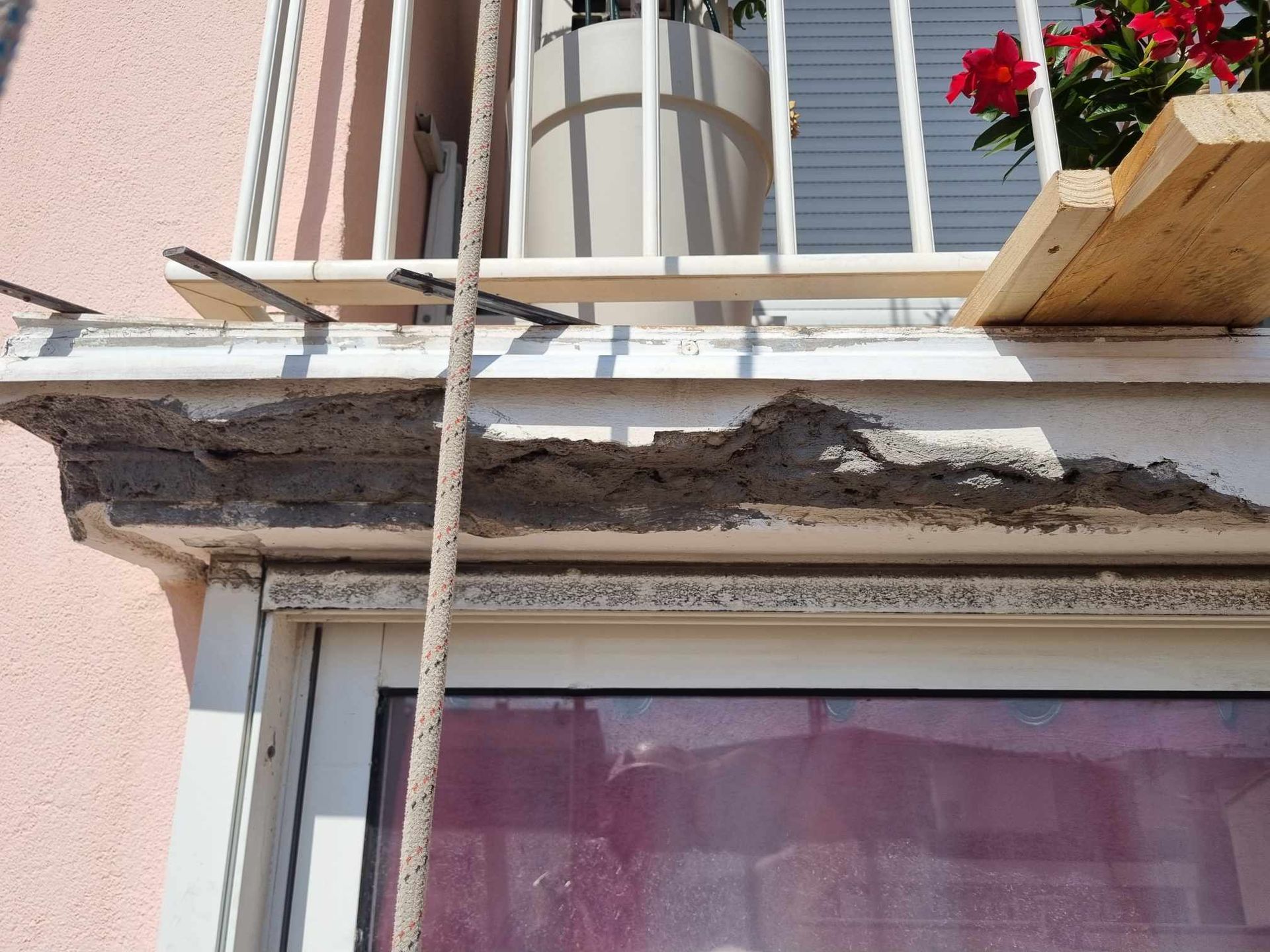 Un balcon avec une plante en pot et des fleurs dessus