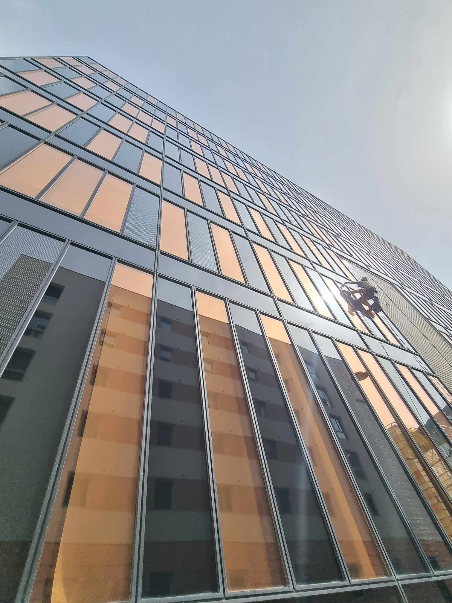 Regardant vers le haut vers un grand bâtiment avec beaucoup de fenêtres