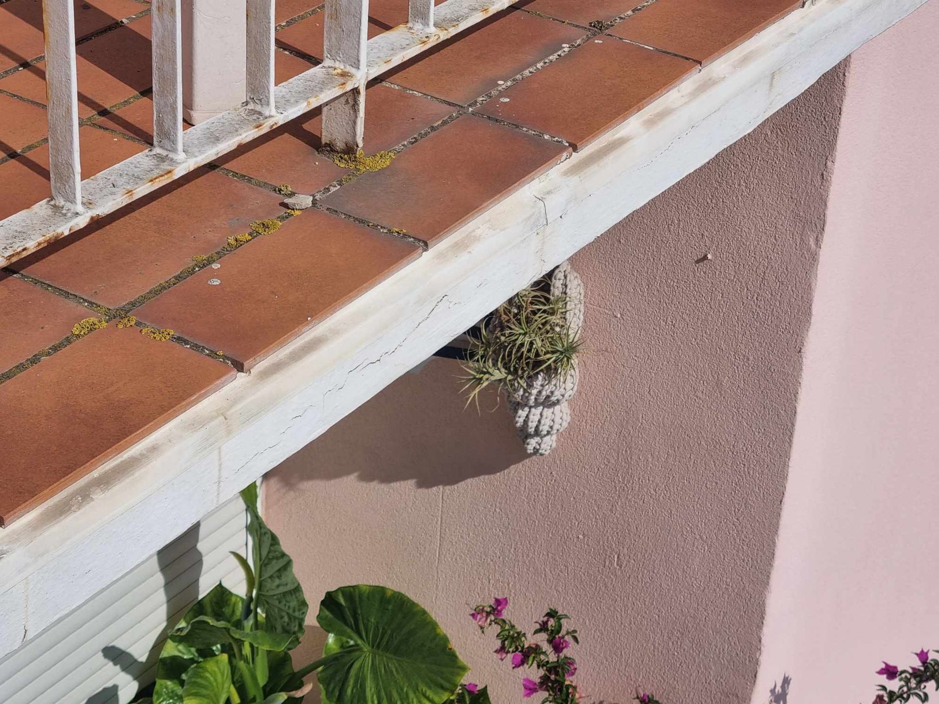 Un balcon avec une balustrade blanche et une plante en pot dessus