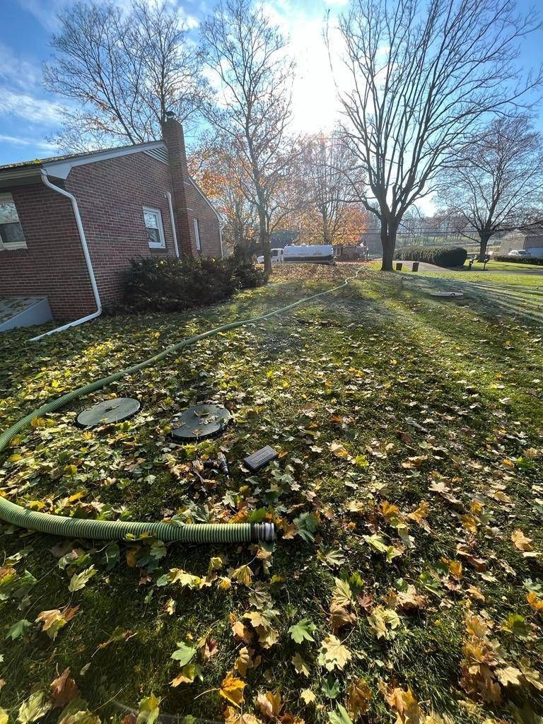 Sunlit yard with fallen leaves beside a brick house and leafless trees in autumn