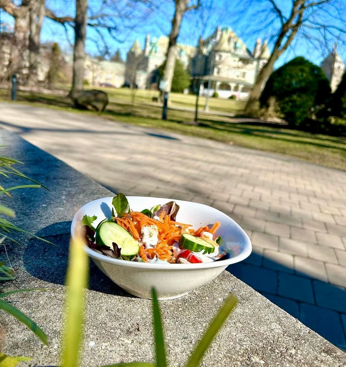 Salad bowl on a wall, with a mansion and park in the background. Sunny day.