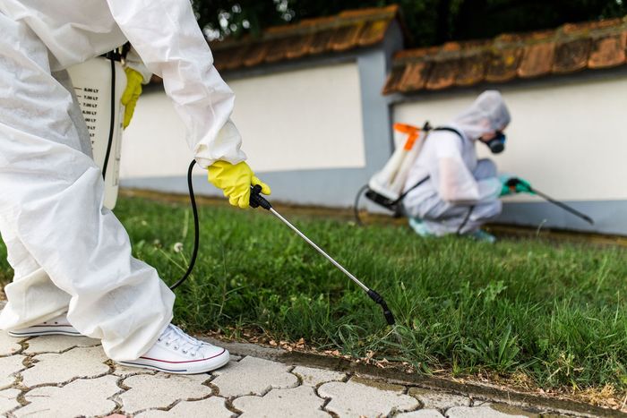 A man in a protective suit is spraying a lawn with a sprayer.
