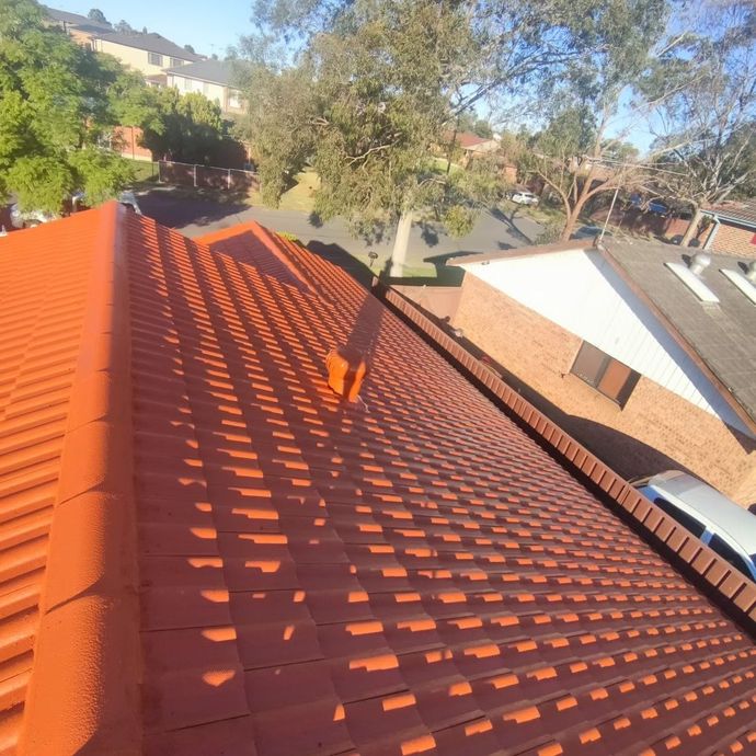 A recent client's restored roof