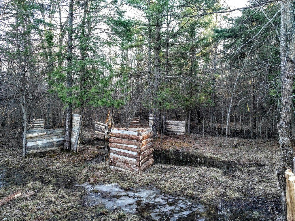 Marked Paintball Field - Wooden Thorn Forest battle zone
