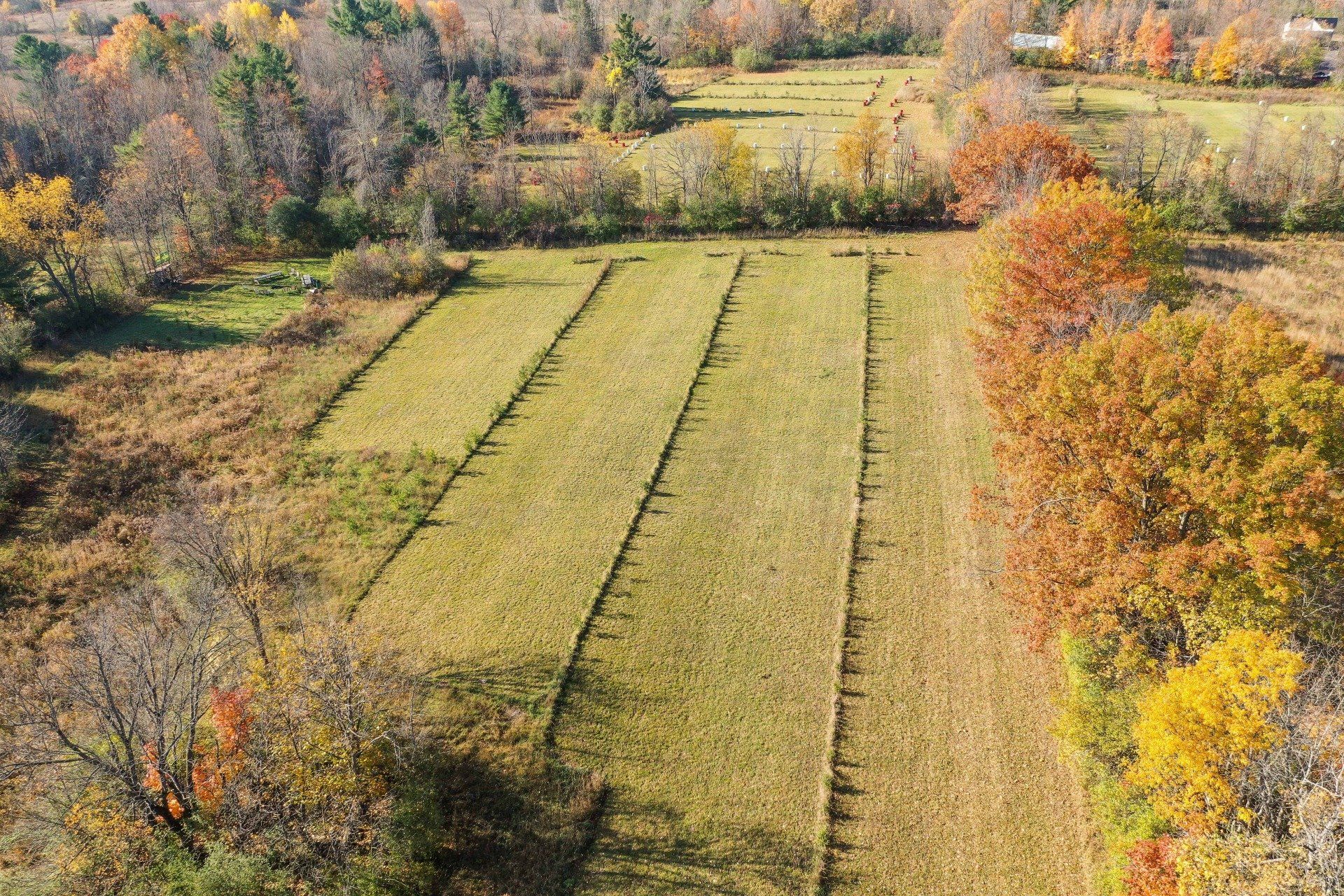 An aerial view of a field surrounded by trees in autumn.