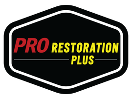 Pro Restoration Plus