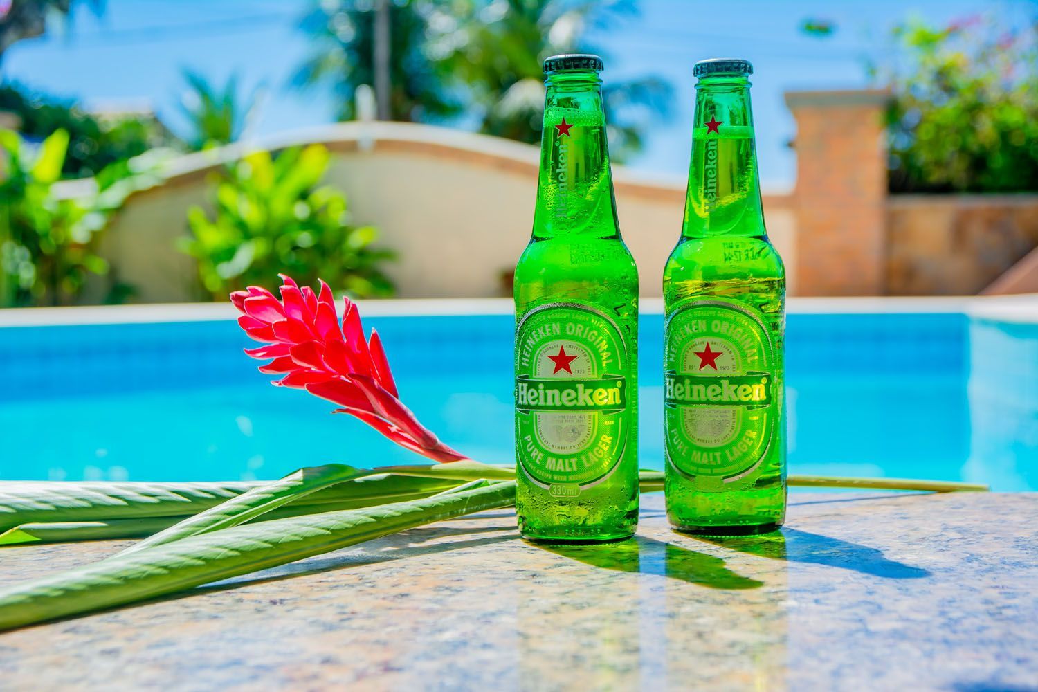 Duas garrafas de cerveja heineken estão ao lado de uma flor na beira de uma piscina.