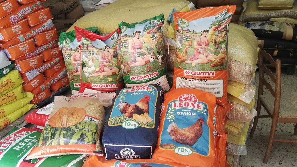 prodotti in vendita del negozio