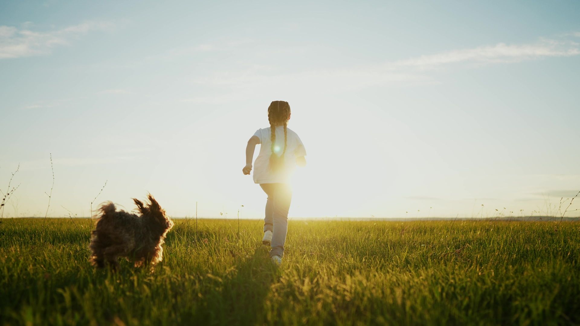 Child and dog running through a sunlit grassy field at sunset