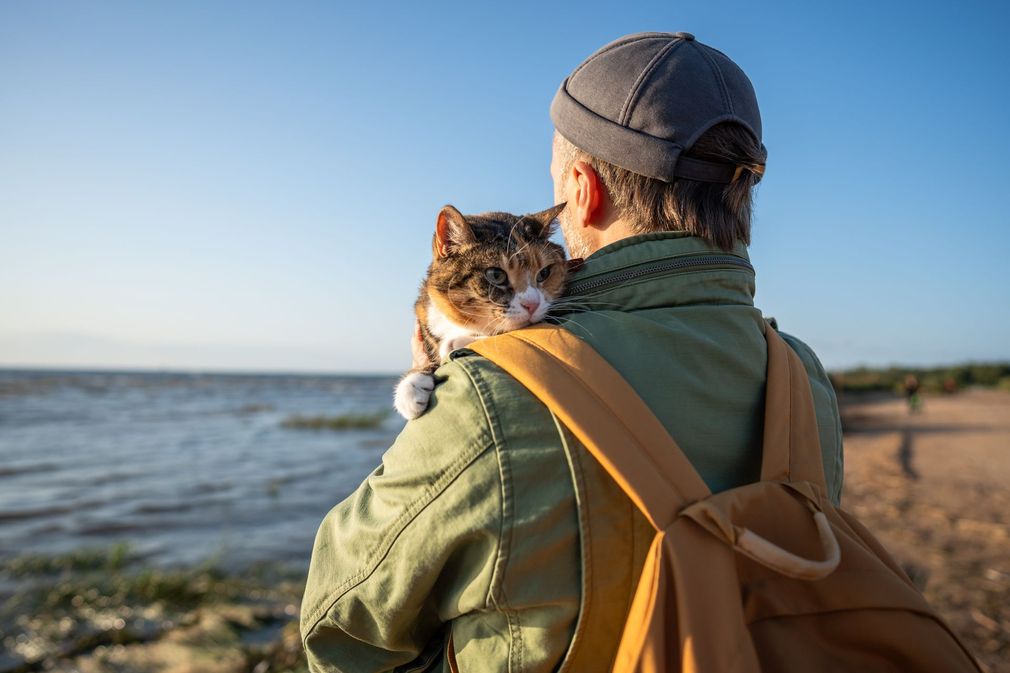 Person with a backpack holding a cat by the seaside at sunset