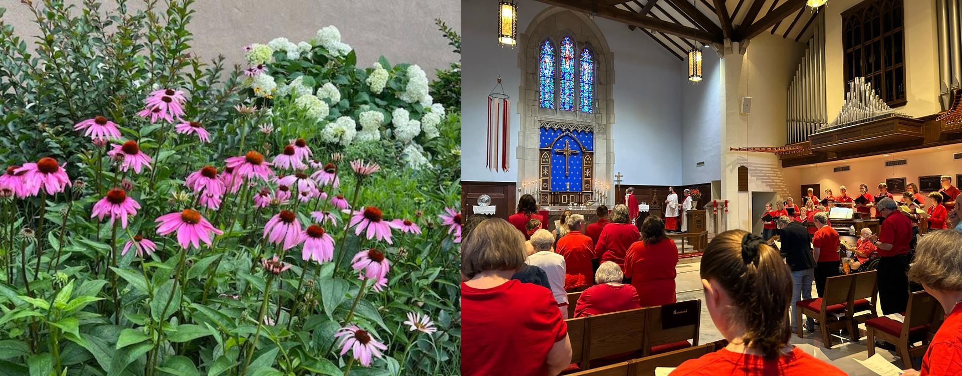 Flowers in a garden and a church interior with a choir in red robes.