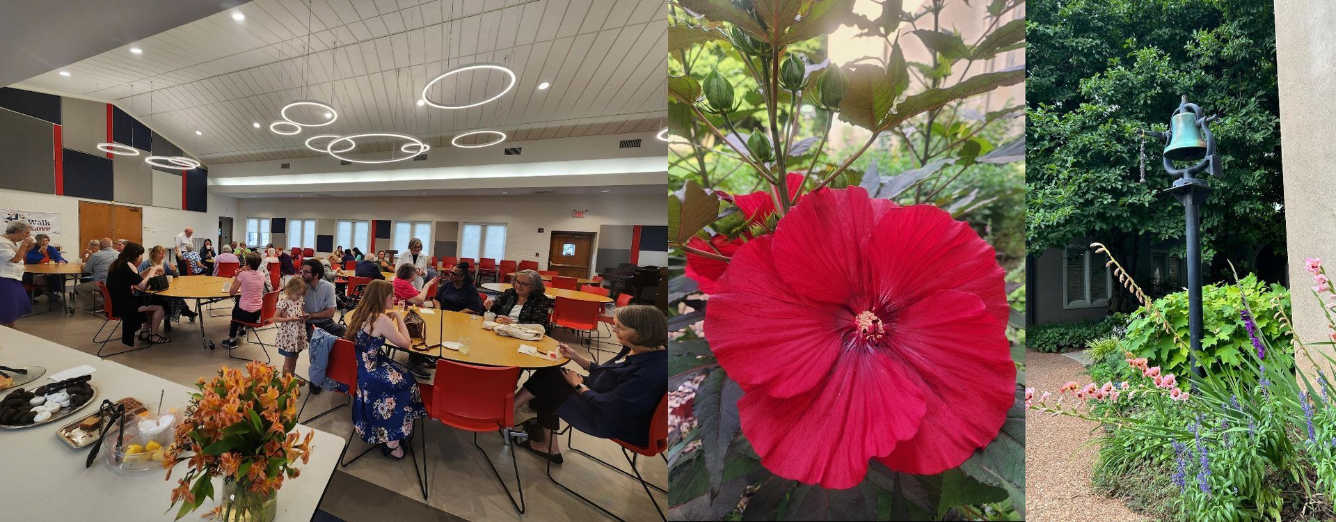 People in a room, large red flower, garden with a bell.