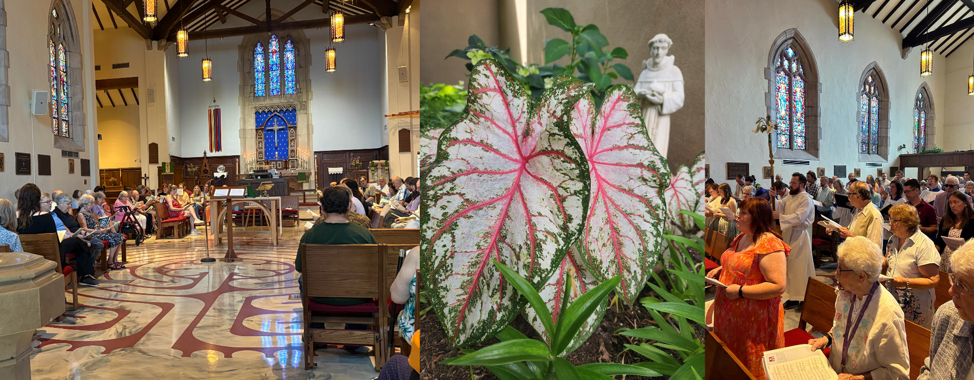 People in church, with large leafed plants, and statues. Lit up by stained glass and ambient lights.