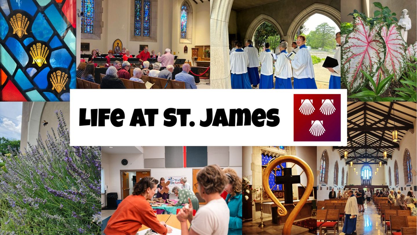Collage: Scenes of St. James church life: stained glass, congregation, choir, garden, event, interior, staff.