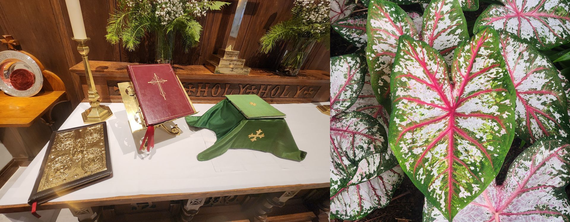 Clerical items on a white surface with leaves. A book with a cross on it and colorful leaves.