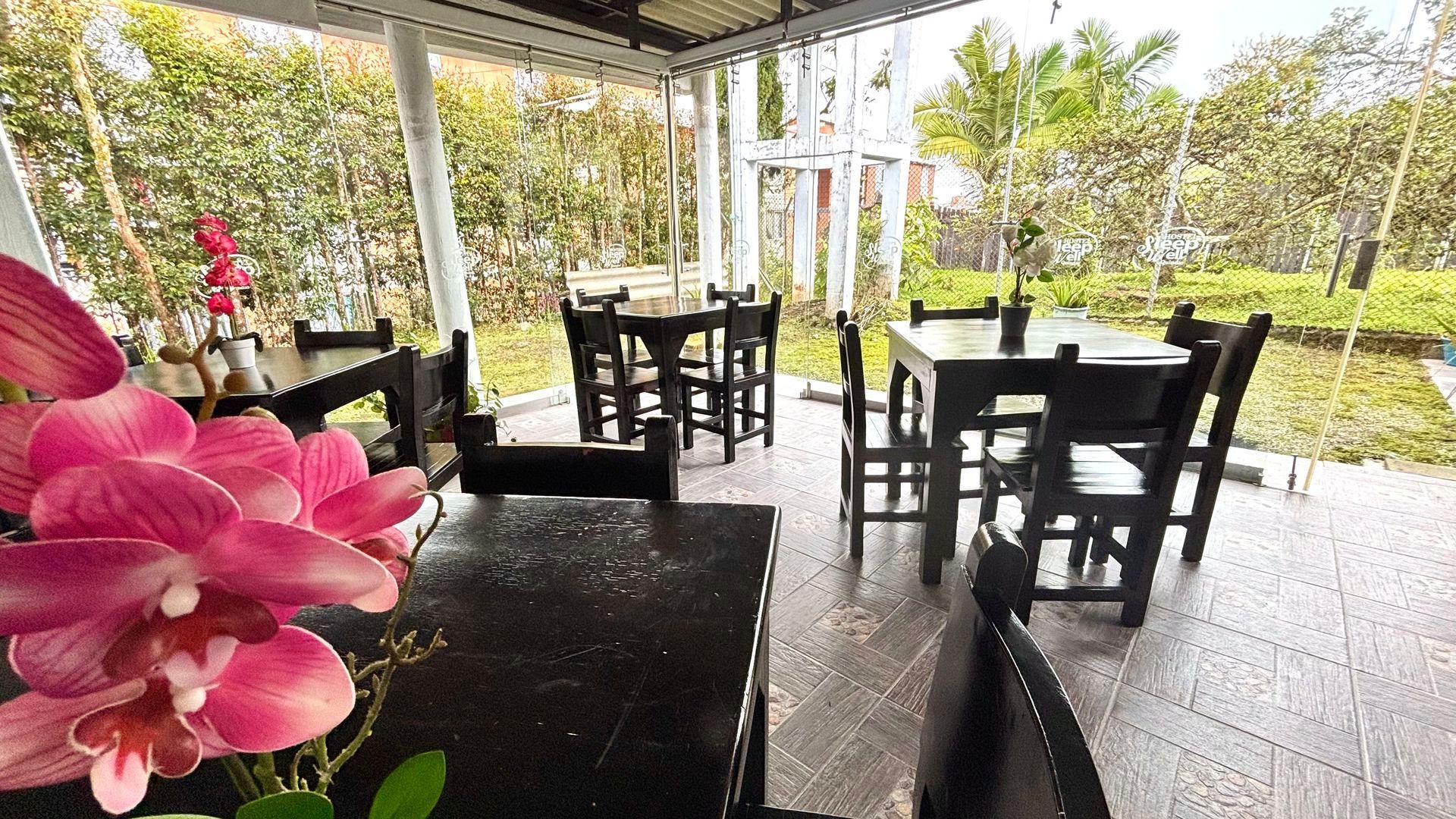 Terraza de una cafetería con mesas y sillas negras bajo un patio cubierto, con flores rosas en primer plano.