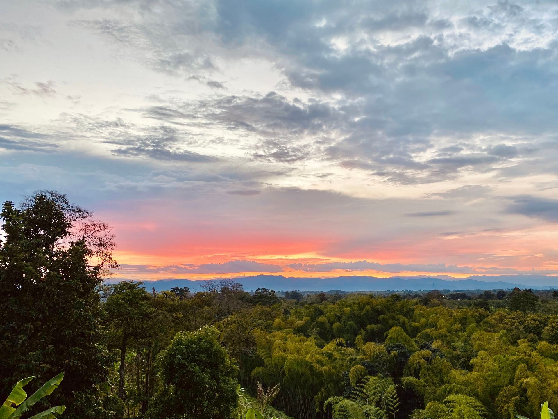 Amanecer sobre un frondoso bosque con nubes de color rosa anaranjado y montañas a lo lejos.