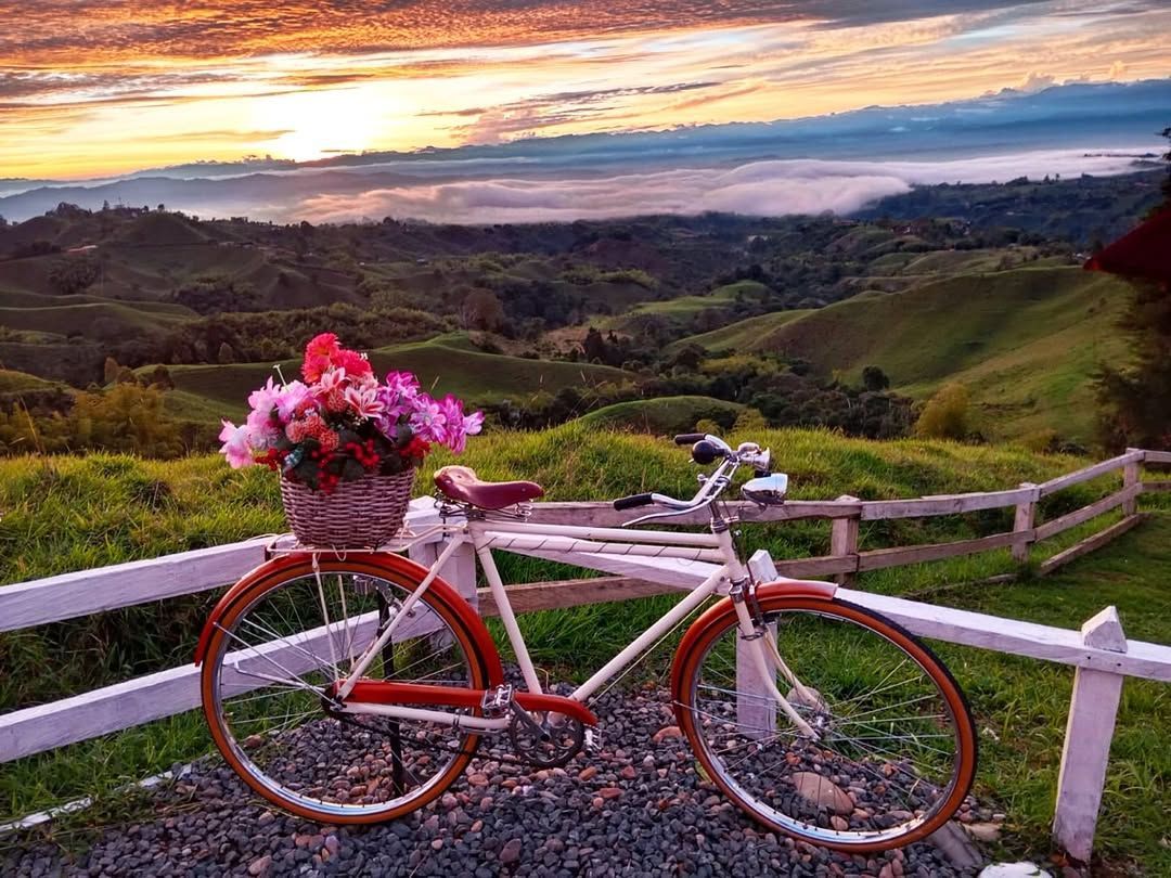 Bicicleta roja con flores rosas con vistas a un paisaje ondulado al atardecer.