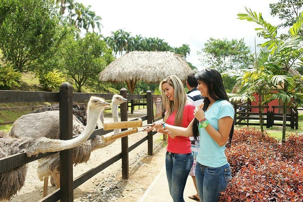 Dos mujeres alimentando a un ganso blanco junto a una valla de madera en un soleado parque al aire libre.