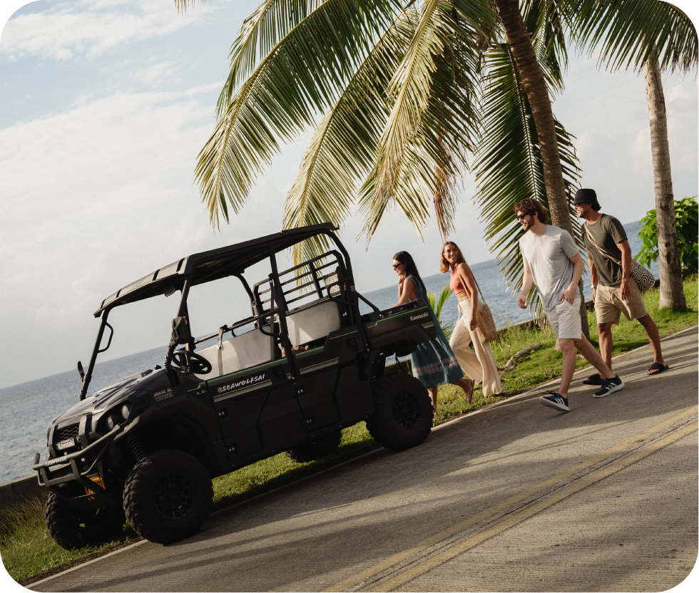 Carrito tipo buggy junto a palmeras frente al mar.