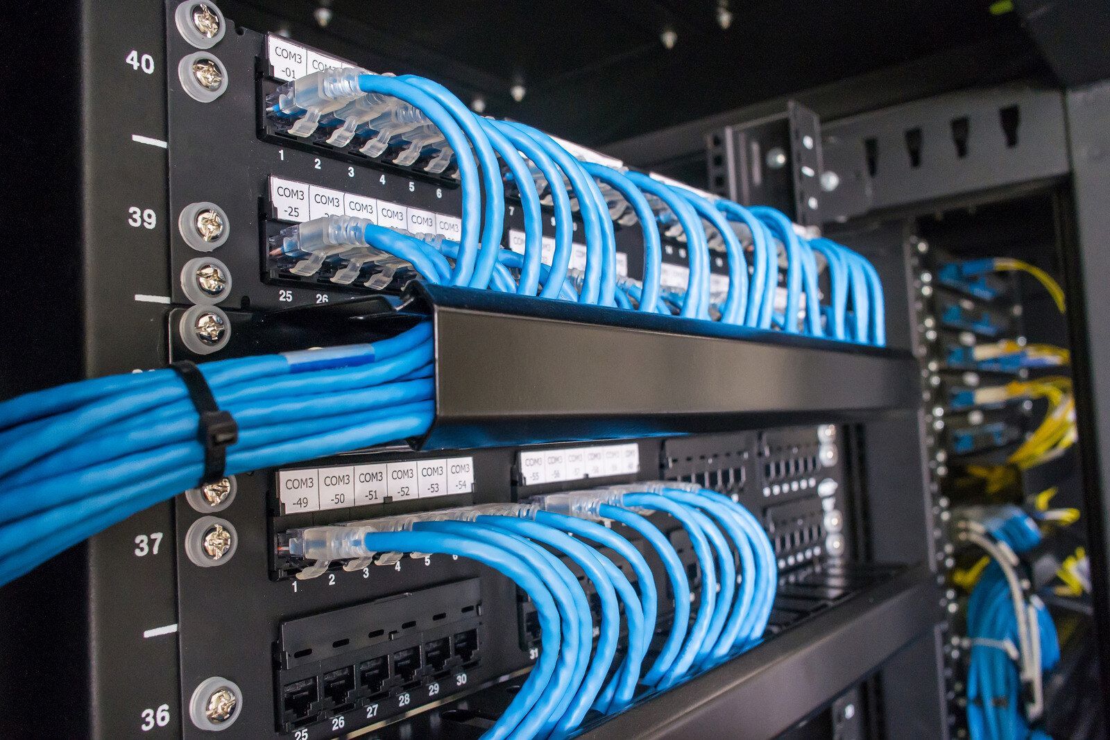Close-up of a server rack showing organized blue Ethernet cables plugged into network patch panels.