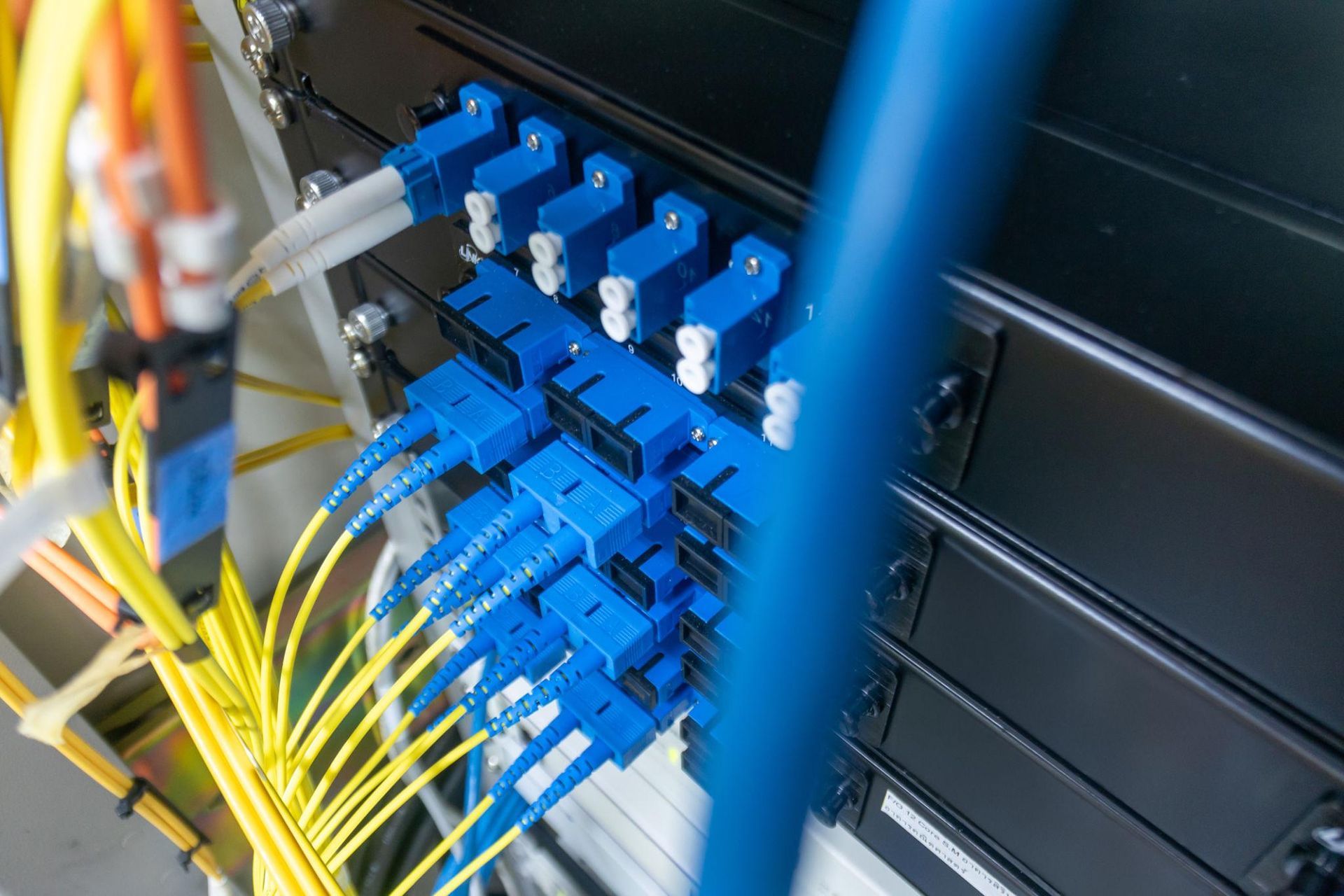 Fiber optic cables with blue connectors plugged into a black server rack patch panel.