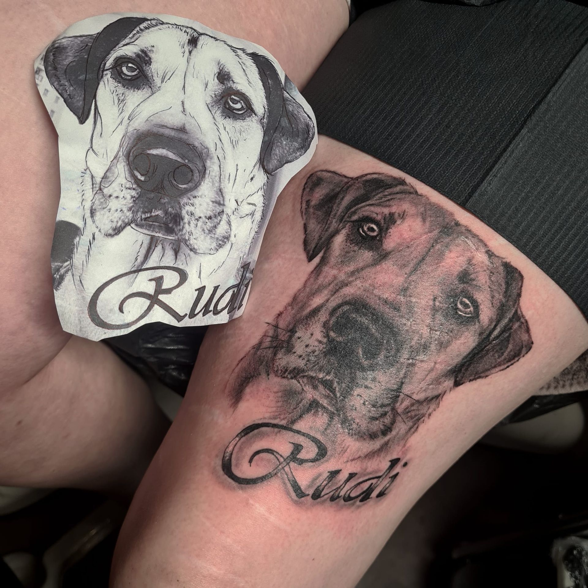 Realismus Tattoo Hund Marzahn