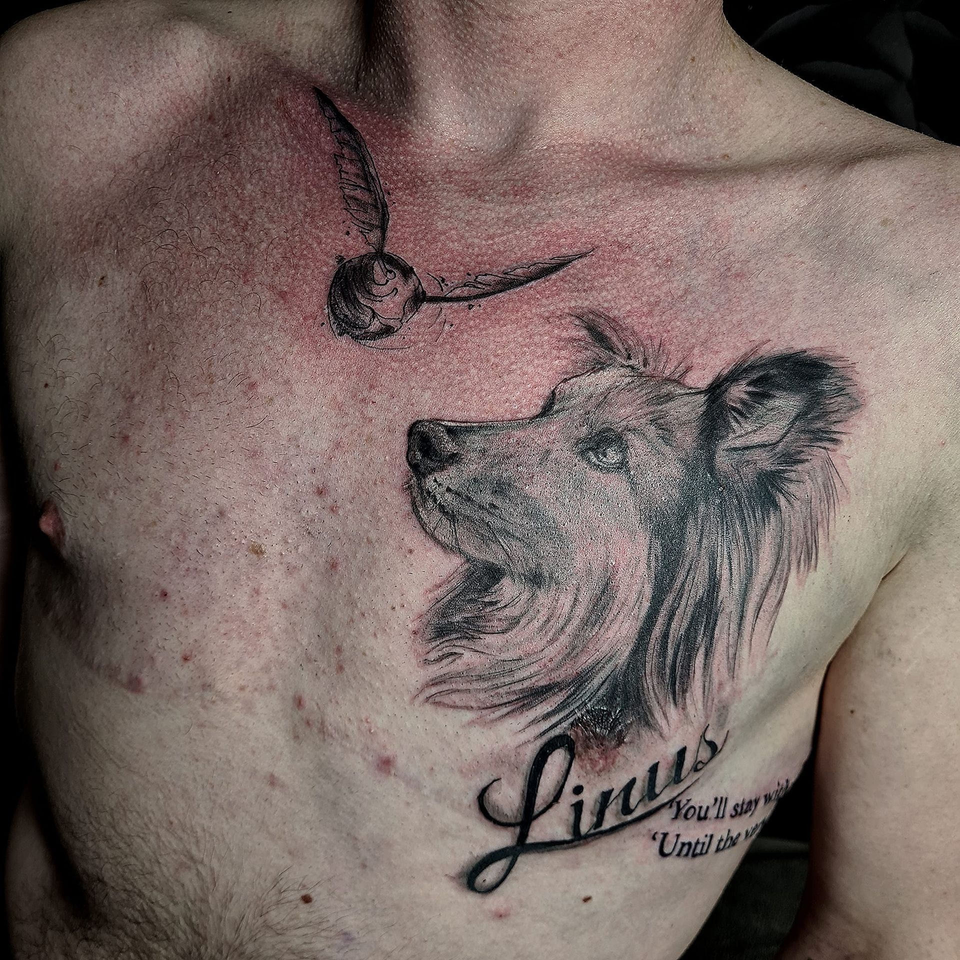 Realistische Hundetattoo Berlin